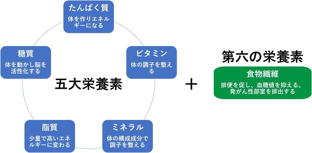 食物繊維 - 第六の栄養素