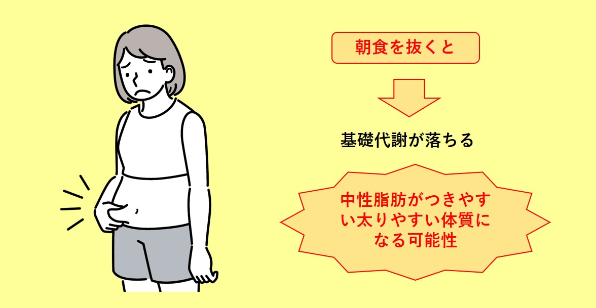 代謝が落ちることによりコレステロール・中性脂肪増加のリスクの絵 