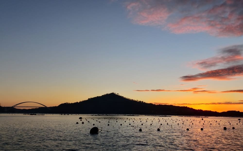 世界三大漁場といわれる三陸、気仙沼湾