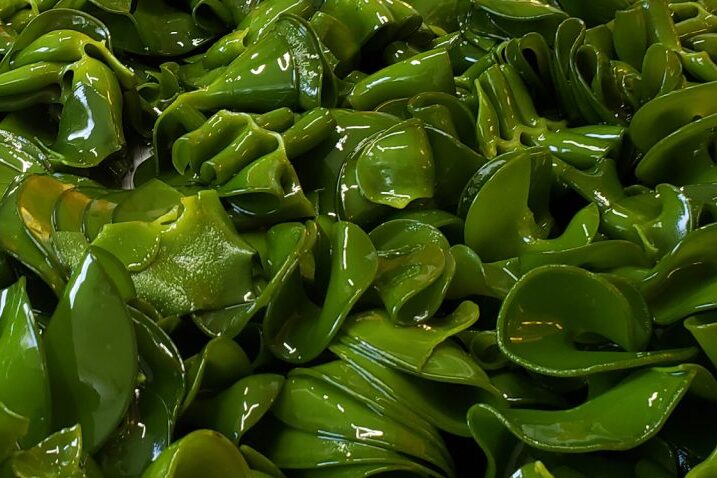 現地加工で鮮度が維持されためかぶ