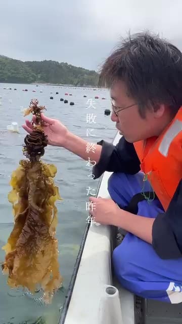 失敗に終わった昨年の養殖