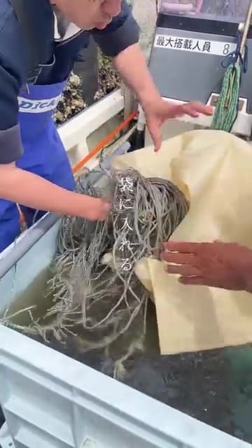 種付けロープの袋詰め作業