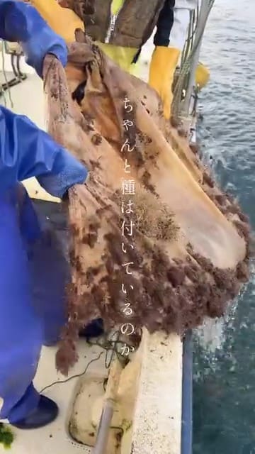 ちゃんと種は付いているか？