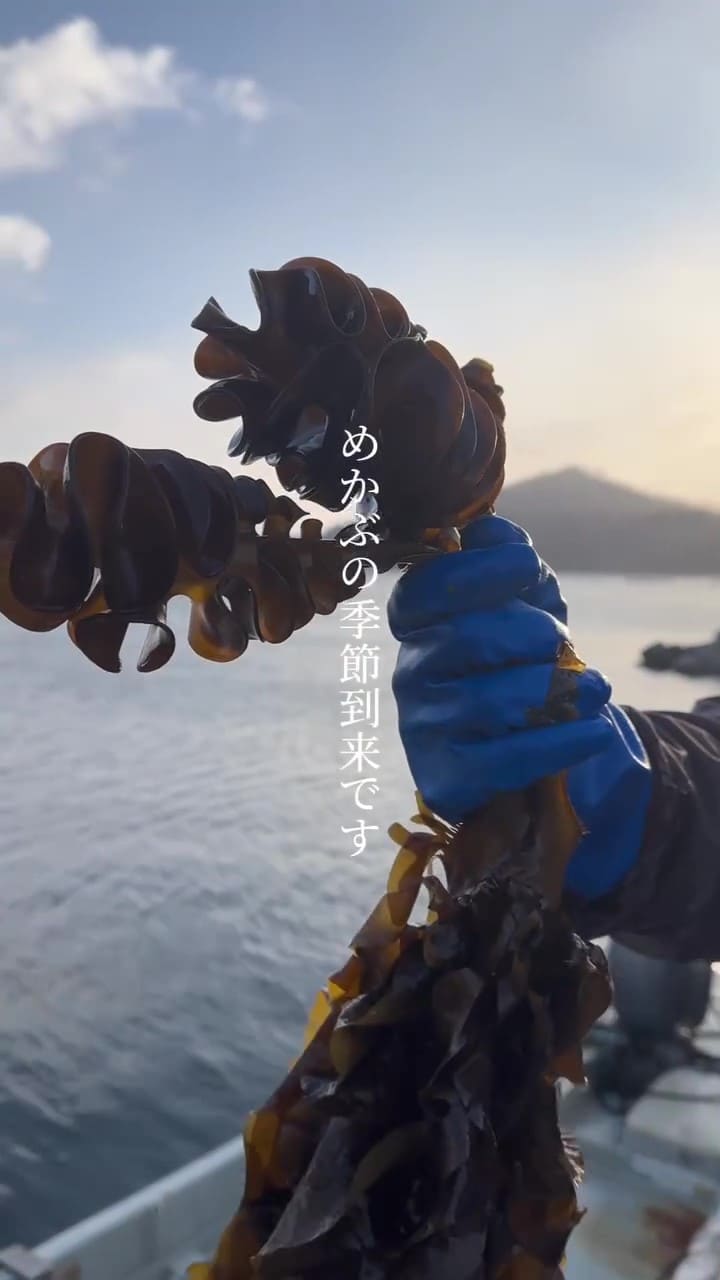 冬の海での収穫作業